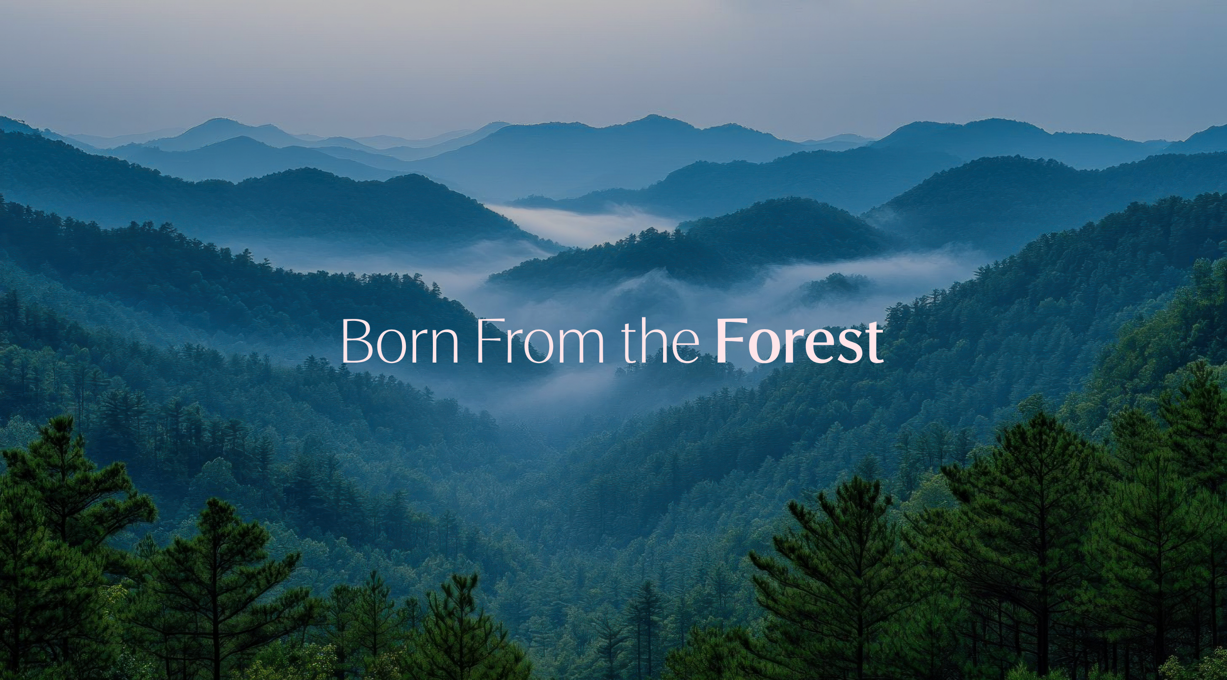Forest Millwork